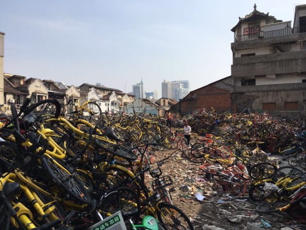 share bike ofo graveyard