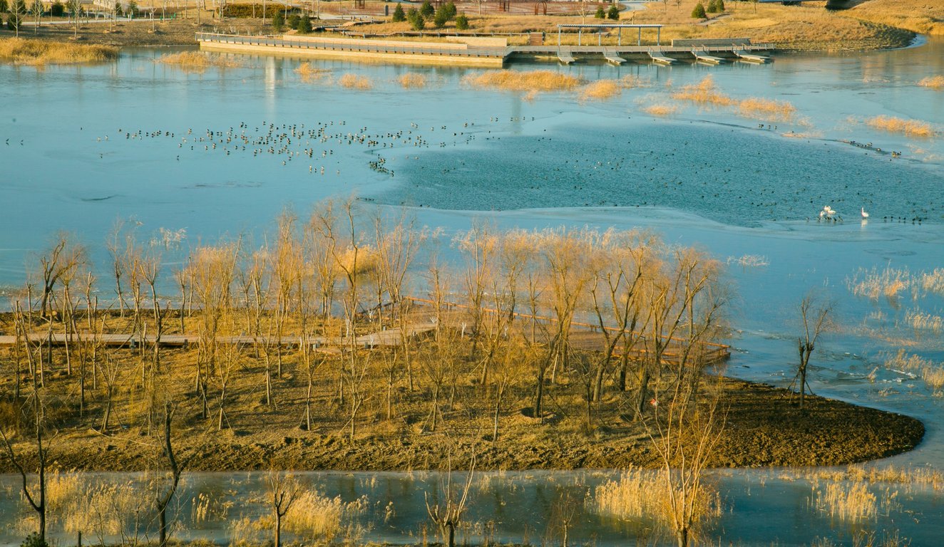 chinese architecture rural landscape restoration project