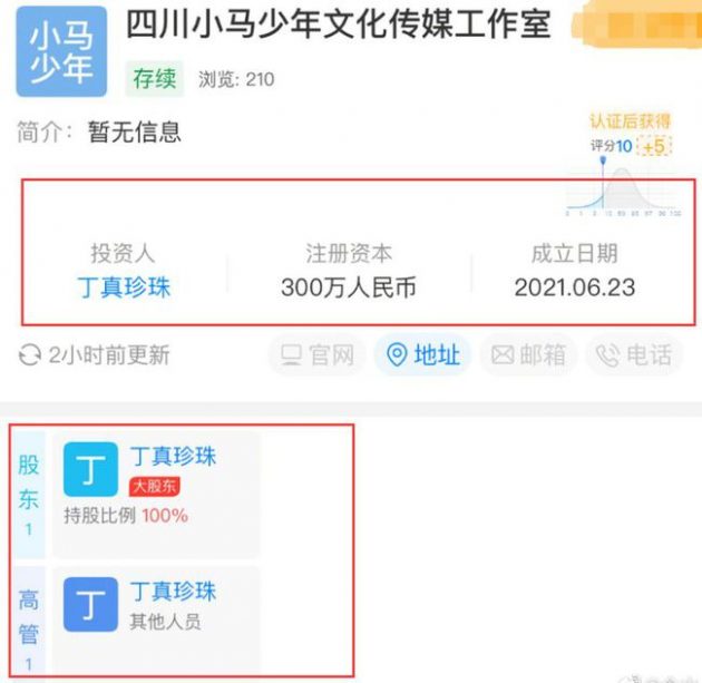 Screenshot of Ding Zhen's Company Registration