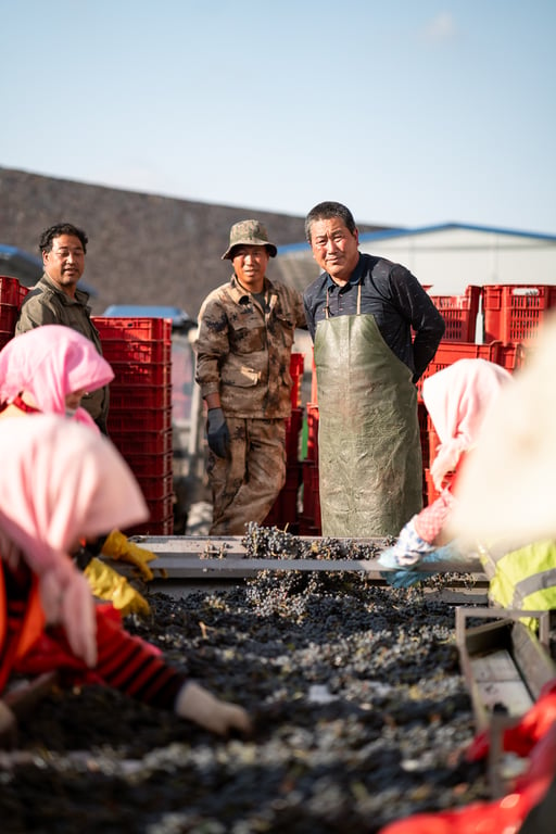 Winemaking in China