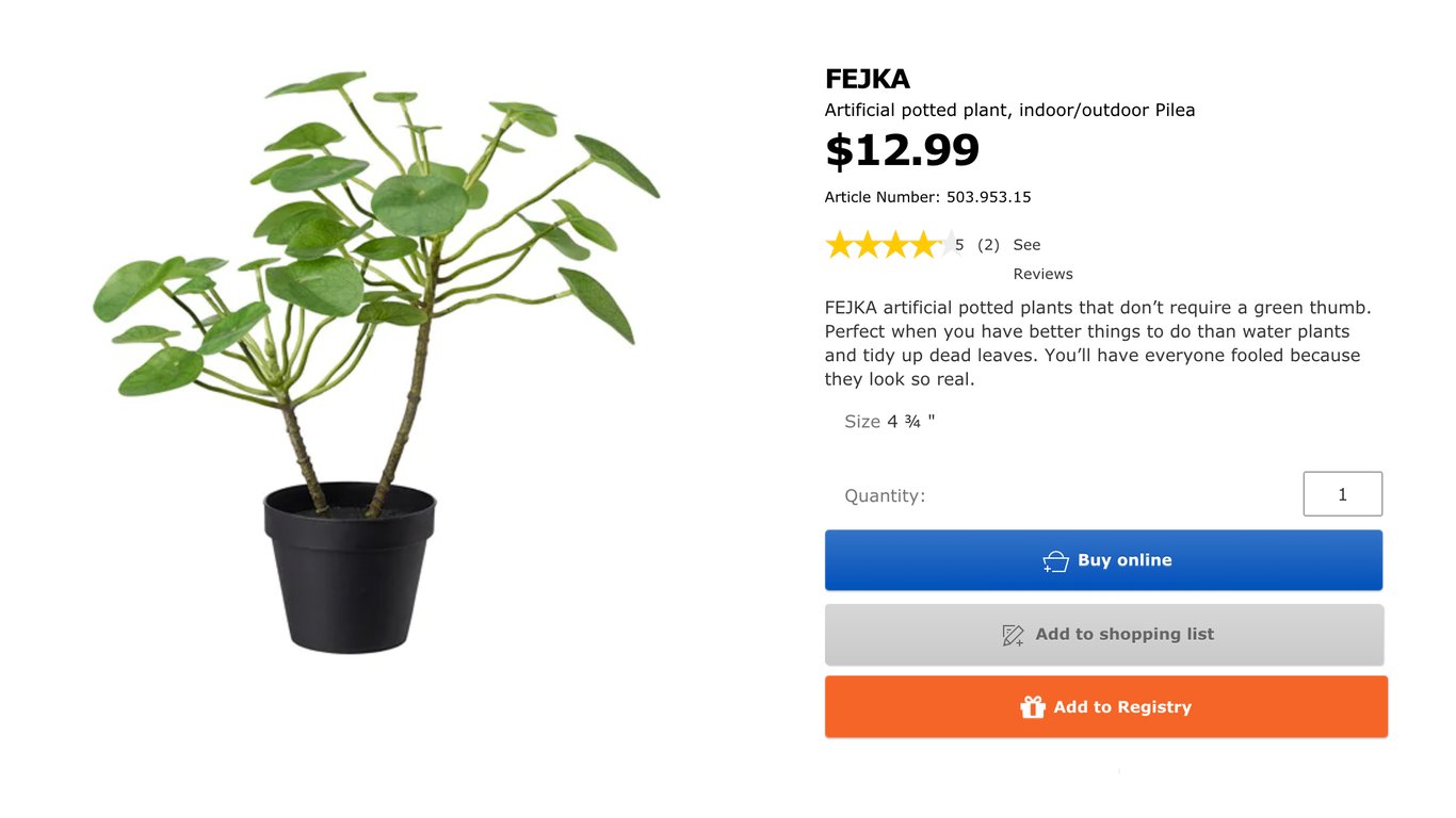 chinese money plant ikea where to buy | RADII China