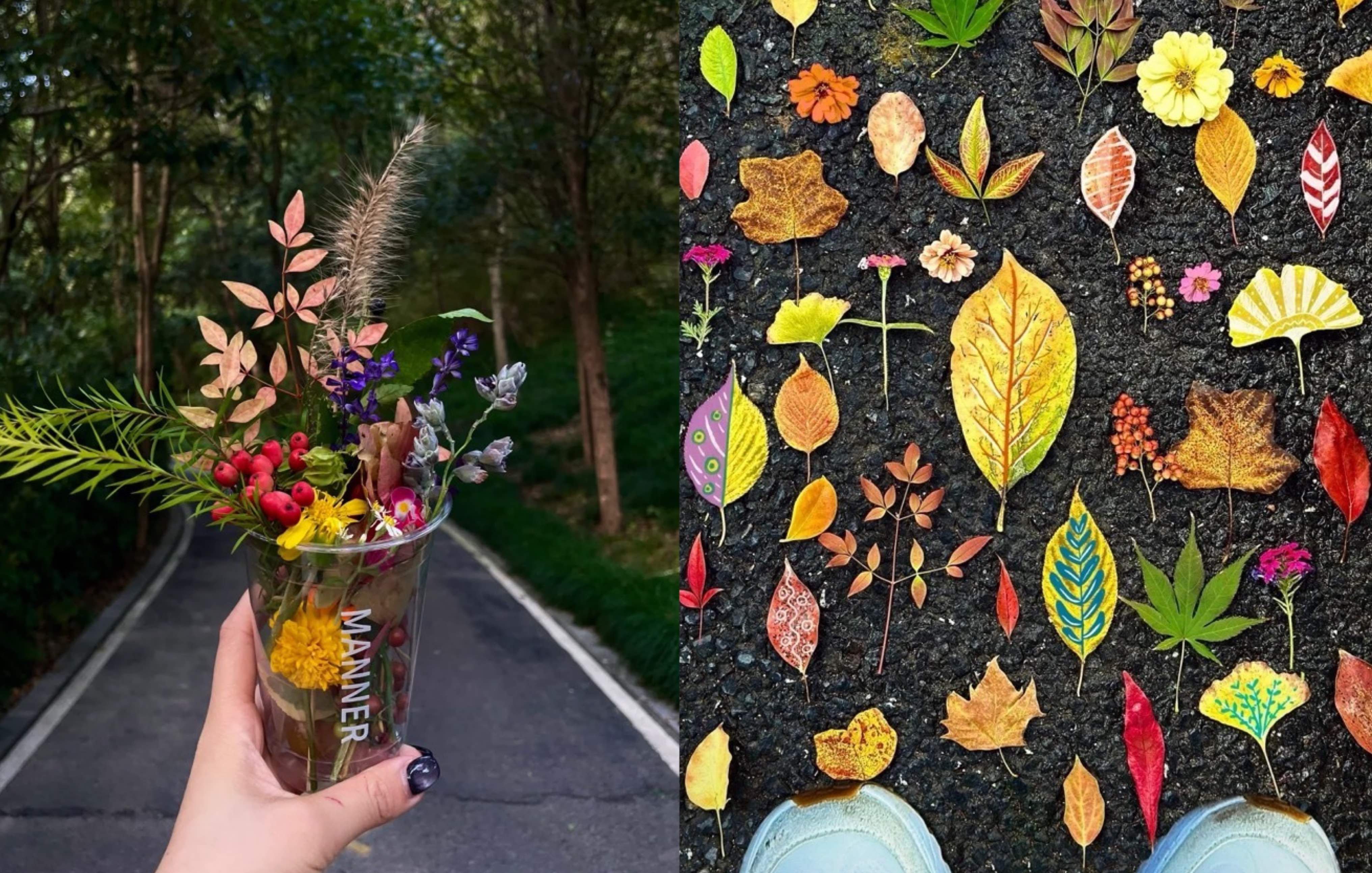 Feature image of Jian Qiu: Why Picking Up Autumn Leaves Is China’s Newest Trend