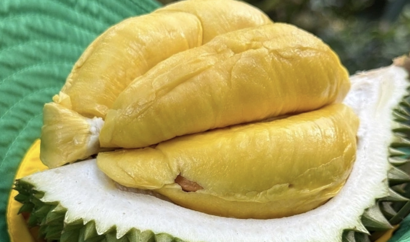 Feature image of What’s Up With China’s Obsession With Southeast Asian Durians?
