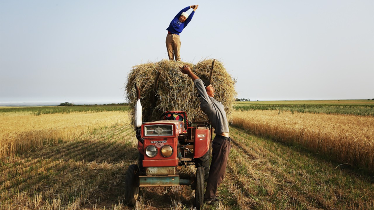 Feature image of From Farm to Flex: Yugouliang’s Unlikely Yoga Masters