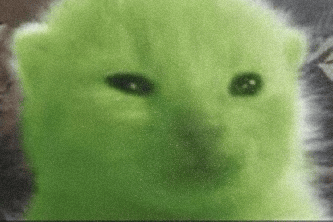 Feature image of Did We All Just Get Brain-Hacked By This Little Green Alien Cat?