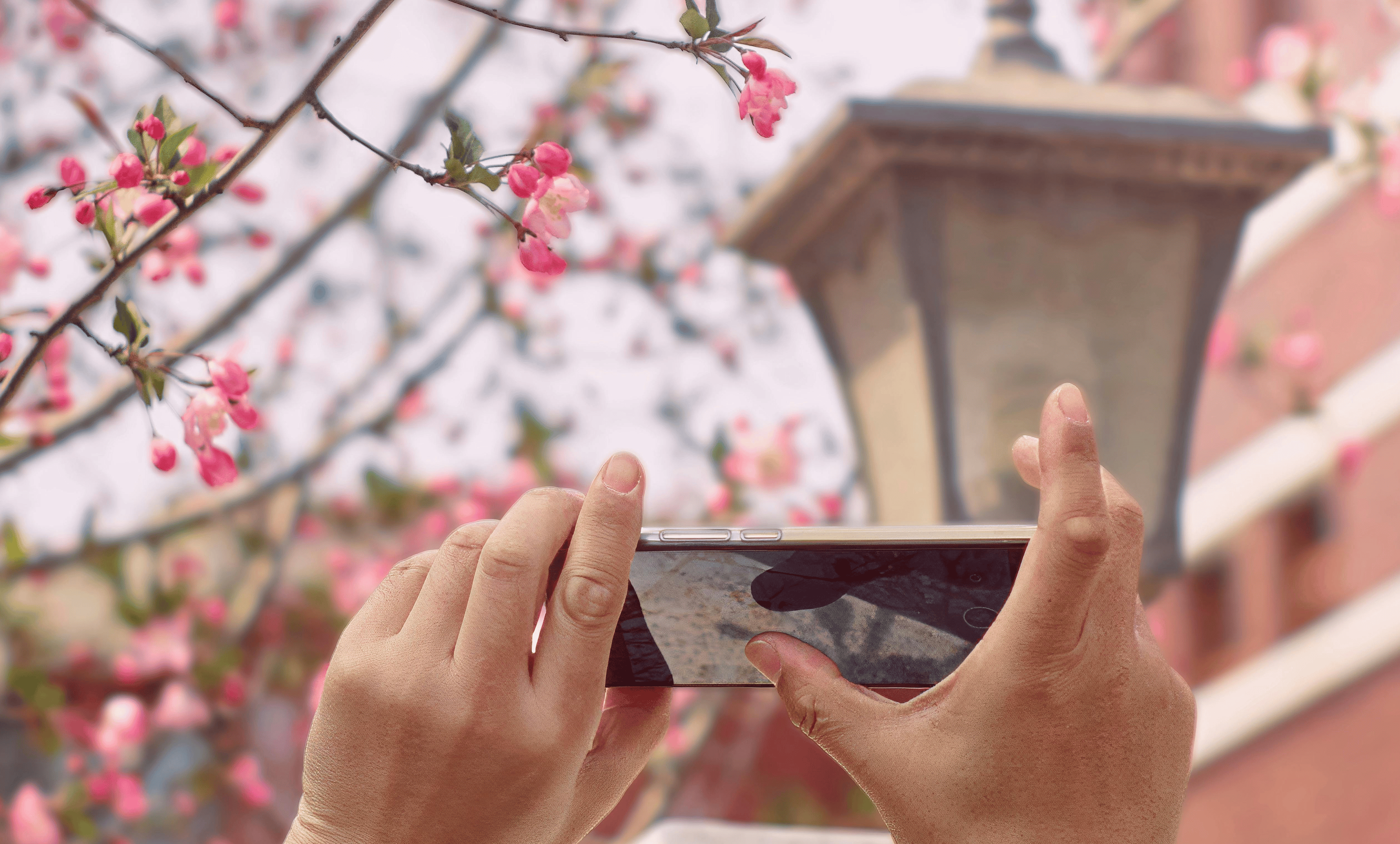 Feature image of Why is Everyone on Xiaohongshu “Color Walking”?