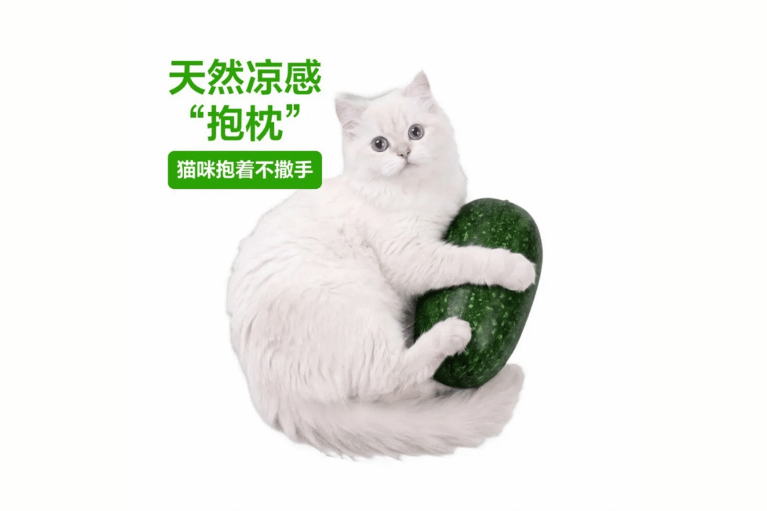 Feature image of Who Knew a Cat Would Become China’s Best Gourds Saleman?