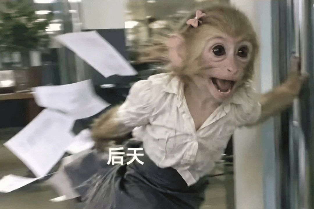Feature image of So… Who Was Able to Concentrate on Work These Past Three Days?