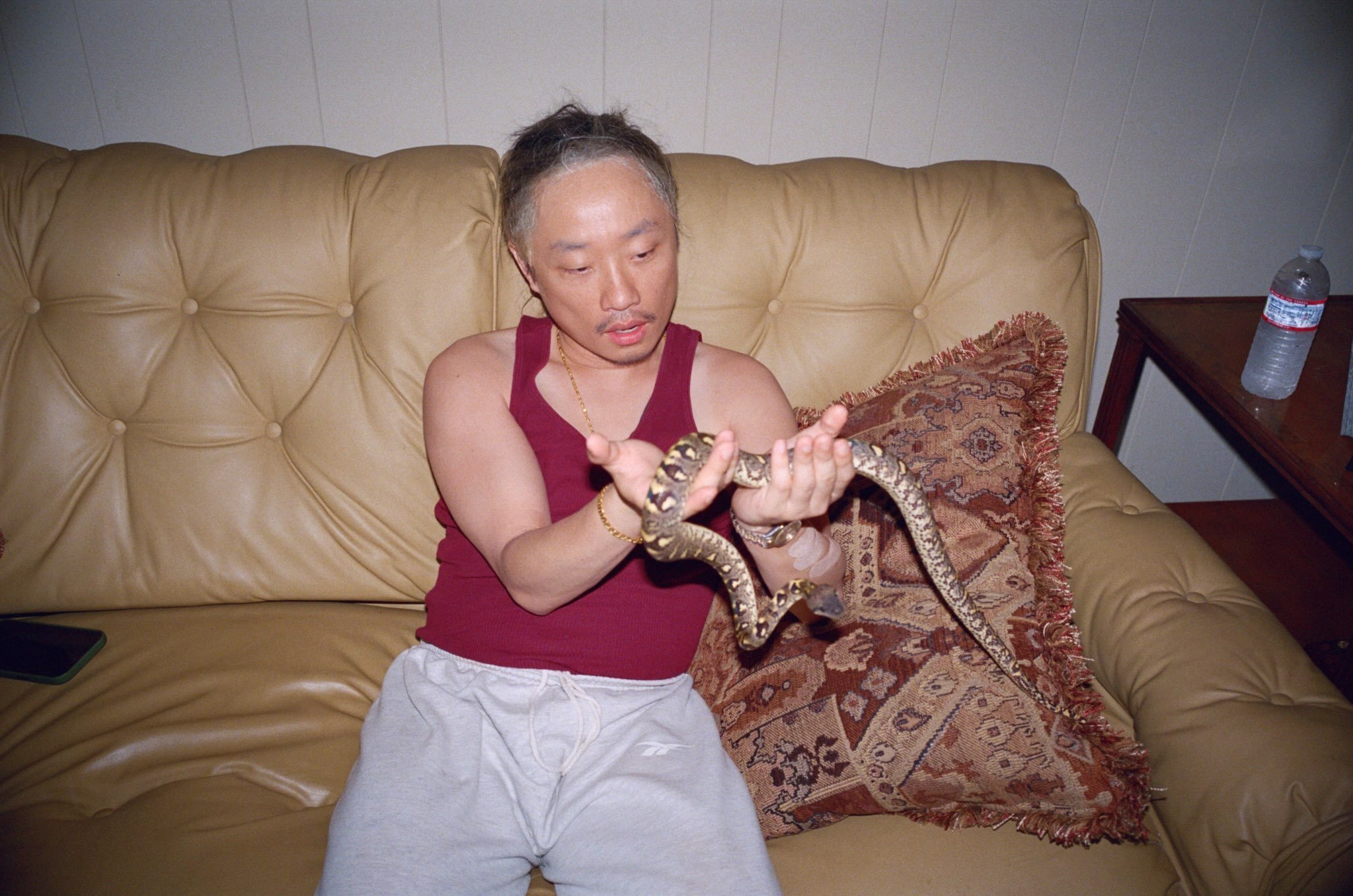 Feature image of Apparently Jimmy O. Yang Now Goes By The ‘Pablo Escobar of Lizards’