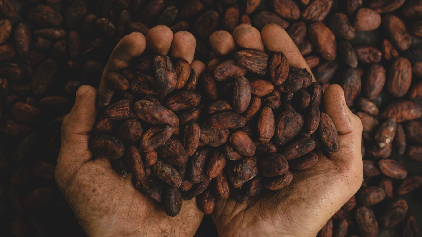 Counting the Cost of Coffee Culture in China's Yunnan Province — RADII