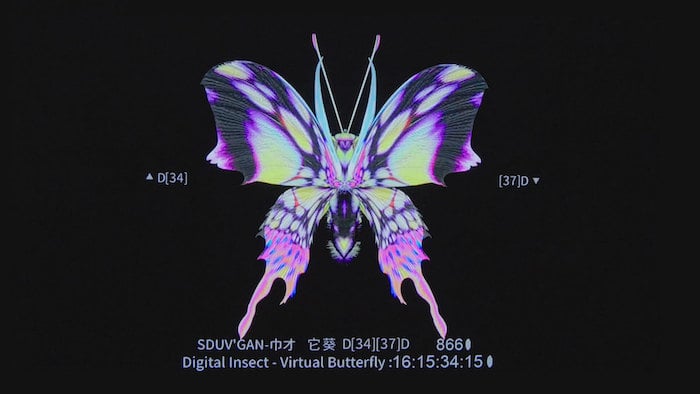 virtual butterfly dabeiyuzhou