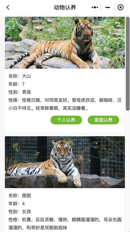 Screenshots of Hongshan’s tigers and leopards open for adoption with brief introduction.