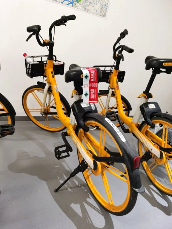 Mass Abandonment of Shared Bikes in China Subject of ‘Why Public Art’