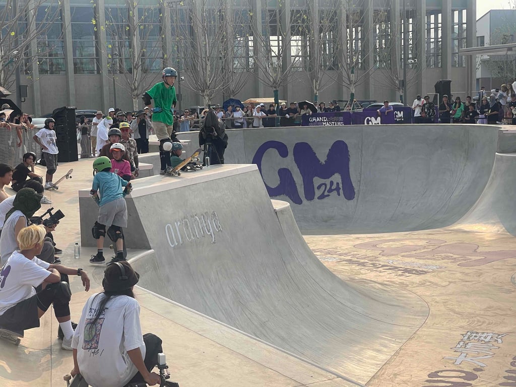 Aranya Skate Park