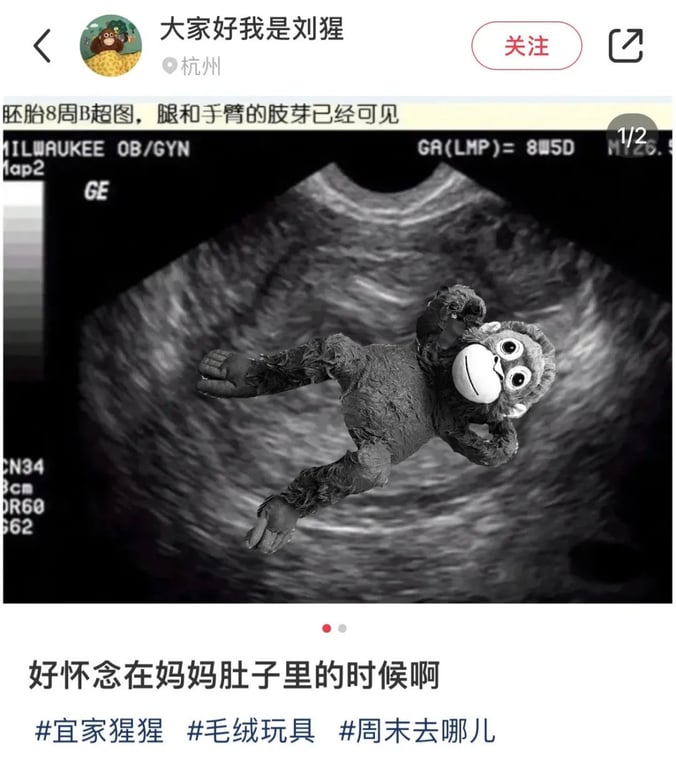 an ultrasound featuring a stuffed monkey