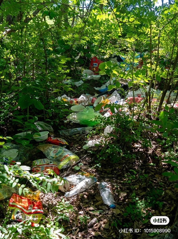 litter on a beijing mountainside