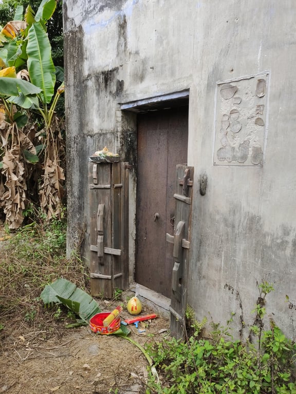 Kaiping offering pomelo