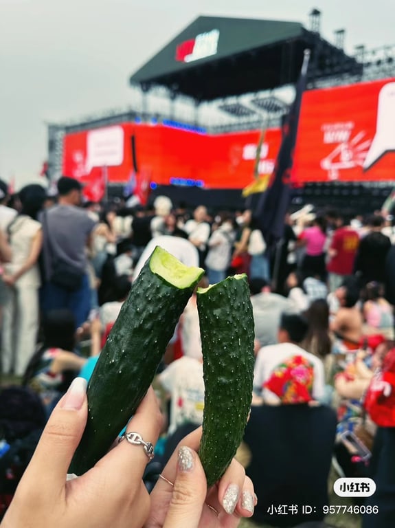 Concert cycumbers