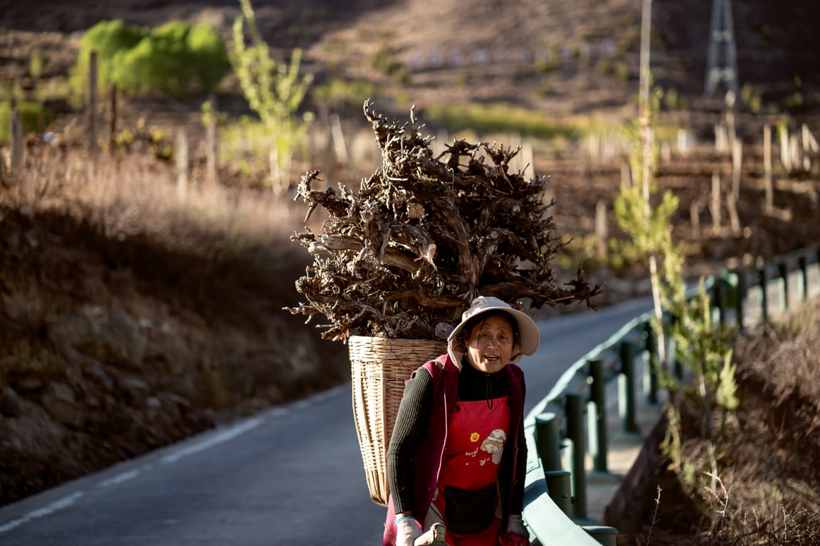 Sichuan