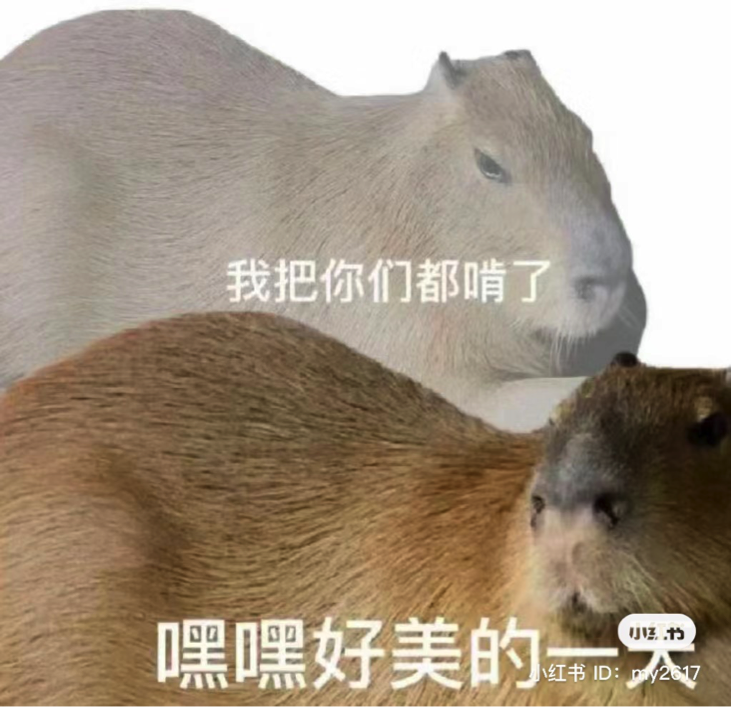 Capybara meme Xiaohongshu