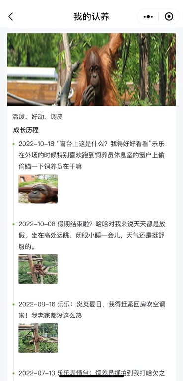 hongshan forest zoo