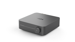 Panoul frontal WiiM Amp Pro