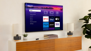 Roku Pro Series TV montat pe perete deasupra unei unități media din lemn cu lămpi, plante și cărți