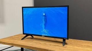 Televizor RCA Roku de 24 de inchi (RK24HF1) unghi ușor pe banc de lemn arătând o balenă pe ecran