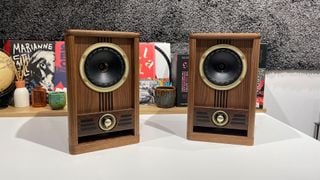 Boxele de raft Fyne Vintage Five în fața unor plante și discuri de vinil