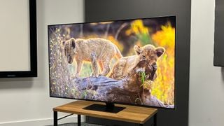 Televizor Samsung QN95D Neo-QLED ușor unghiular pe un suport hi-fi din lemn cu ecranul afișând pui de leu