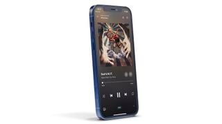 Ecran Apple iPhone 12