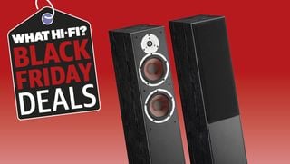 grafic Black Friday Dali Spektor 6