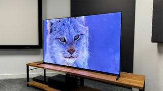 Televizorul Sony A95L pe un suport TV. Pe ecran este fața unui leopard de zăpadă din documentarul Our Planet II de pe Netflix.