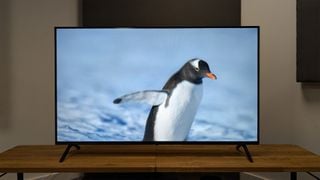 Panasonic W90A 65-inch TV pe un banc AV de lemn arătând un pinguin pe ecran