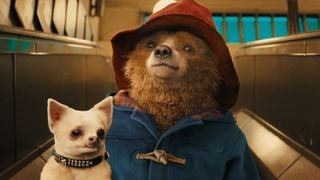 Paddington la metroul londonez ținând un cățeluș