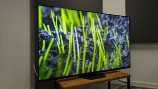 Hisense U8N (65U8N) TV pe bancă de TV din lemn cu plante pe ecran