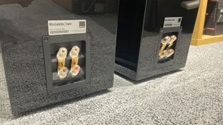 Boxe de podea SVS Ultra Evolution Tower partea din spate a cabinelor arătând posturi de legare