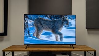 Panasonic W90A 65-inch TV pe un banc AV de lemn arătând un animal mare pe ecran