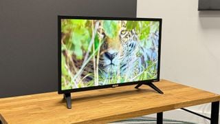Televizor RCA Roku de 24 de inchi (RK24HF1) unghi ușor pe banc de lemn arătând un tigru pe ecran