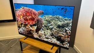 Televizor Philips OLED909 OLED ușor înclinat pe bancul TV, arătând o broască țestoasă pe ecran