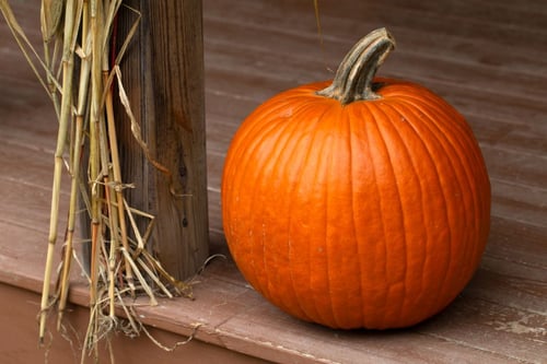 a pumpkin on a wood surface