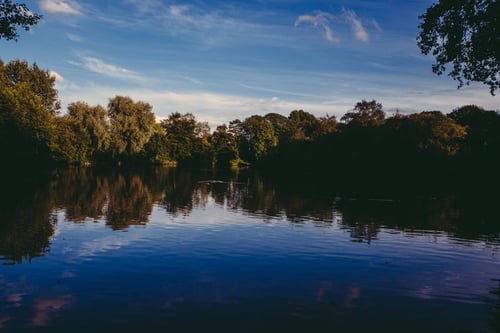 a body of water with trees and blue sky