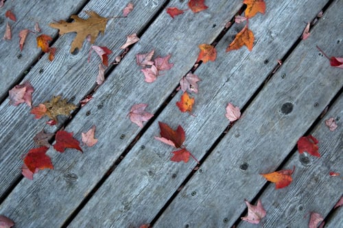 leaves on a wooden deck