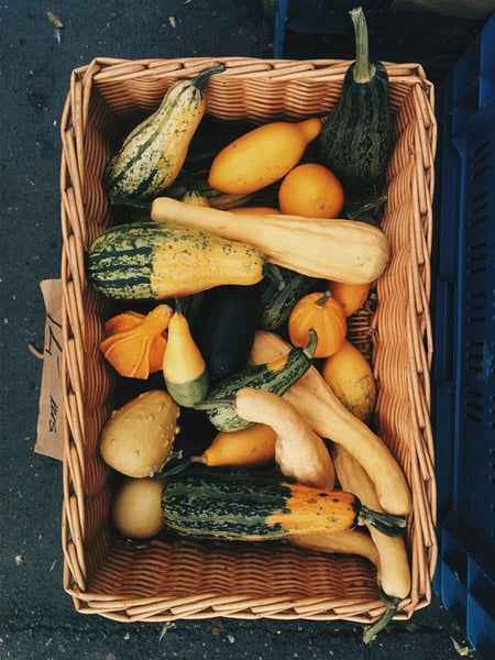 a basket of squashes and oranges