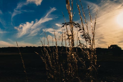 FreePhotos.cc Download Free Stock Photos Royalty Free Images