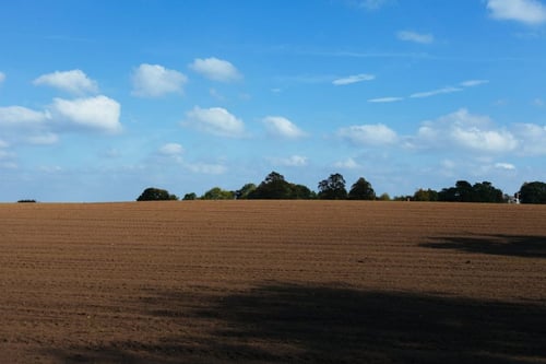 a large brown field with trees in the background