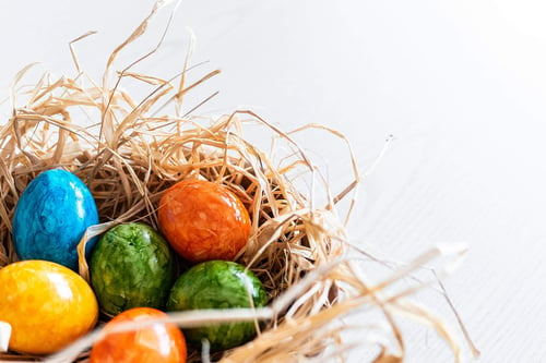 a colorful eggs in a nest