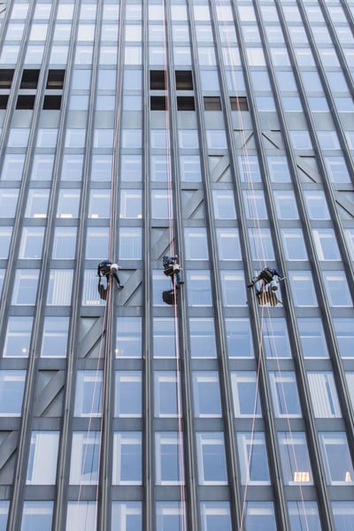 a group of people cleaning windows of a building