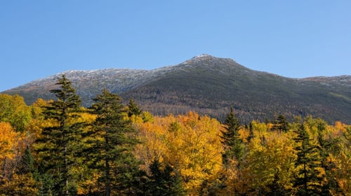 a mountain with trees and yellow leaves