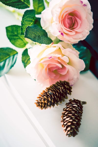 a group of flowers and pine cones